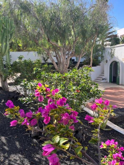 Casa Chili Apartment Costa Teguise Luaran gambar